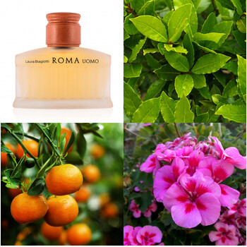 Roma Uomo EDT